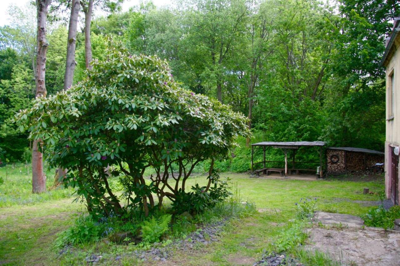Villa Sunshine / Slunecna Vila Krásná Lípa Exteriör bild