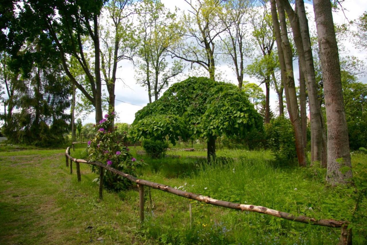 Villa Sunshine / Slunecna Vila Krásná Lípa Exteriör bild